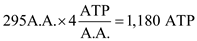 Elongation of an amino acid requires 4 ATP per amino acid. The first step in elongating a polypeptide is activating the amino acid and then attaching it to a tRNA. This process converts an ATP to an AMP, costing 2 phosphate groups. This is equivalent to hydrolyzing 2 ATPs in this step. Next the loaded aminoacyl-tRNA is moved to the A-site of a ribosome. This is accomplished with the help of the elongation factor EF-Tu and the hydrolysis of a GTP. The hydrolysis of GTP is energetically equivalent to hydrolyzing another ATP. Finally, the aminoacyl-tRNA is moved from the A-site to the P-site using an EF-G:GTP complex. The GTP is again hydrolyzed to GDP. This once again is equivalent to the hydrolysis of one ATP. This leaves us with a total of 4 ATP equivalents per amino acid. We now must consider initiation and termination. Initiation requires 2 ATP. One is in the form of GTP, for Met-tRNA i binding to form the 40S pre-initiation complex, and another is in the form of ATP in forming the initiation complex. The formation of Met-tRNA i costs another 2 ATP. Termination requires the hydrolysis of one GTP. This means that for an amino acid that is 296 amino acids long, 4 ATP equivalents will be consumed in initiation, 1,180 ATP equivalents will be consumed in elongation and 1 ATP equivalent will be consumed in termination. This gives a total of 1,185 ATP equivalents.