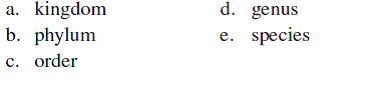 The scientific name for humans is Homo sapiens. The name Homo is the _____ to which humans are classified.  