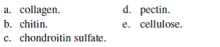 The polysaccharide that forms the hard outer covering of many invertebrates is  