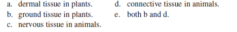 A type of tissue that is rich in ECM or has cells with a thick cell wall is  