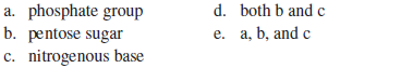 Considering the components of a nucleotide, what component is always different when comparing nucleotides in a DNA strand and in an RNA strand