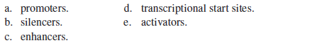 Regulatory elements that function to increase transcription levels in eukaryotes are called  