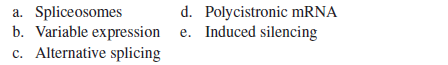 _____ refers to the phenomenon where a single type of pre-mRNA may give rise to multiple types of mRNAs due to different patterns of intron and exon removal.  