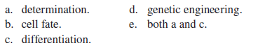 The process whereby a cell's morphology and function have changed is called  