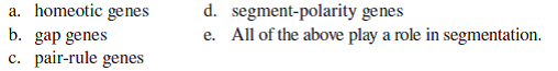 Which of the following genes do not play a role in the process whereby segments are formed in the fruit fly embryo