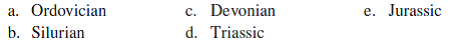 The earliest fossils of vascular plants were formed during the ___________ period.  