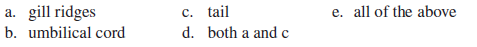 Which of the following is an example of a developmental homology seen in human embryonic development and other vertebrate species that are not mammals  