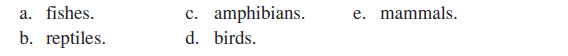 The group of vertebrates with the greatest capacity for gas exchange across the skin is the