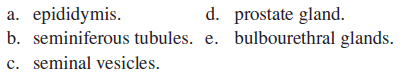 The fructose in semen is secreted by the