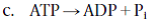 <strong>Which is not an example of an exergonic reaction?</strong> A) photosynthesis B) a nuclear reaction in the sun D) glucose breakdown
