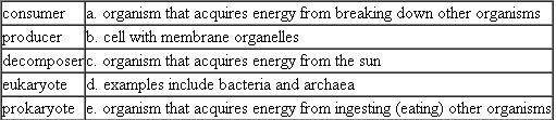 Match each of the following key terms with the best definition. Select the best answer using each choice only one time.  