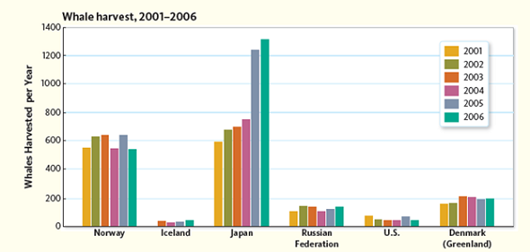 According to the graph above, how many whales were harvested by Japan in 2006 ( Fig. )? Figure Annual whale harvest from 2001-2006 (2006 figures are not complete).  Graph by mongabay.com, data derived from Science. Graph from http://news.mongabay.com/2007/1221-japan.html, accessed March 3, 2008.   