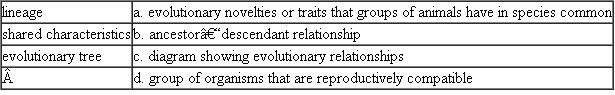 Match each of the following terms related to evolutionary trees with its characteristic, description, or example.  
