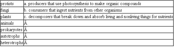 Match each of the following groups of organisms with their ecological roles on the right. Each term on the left may match more than one role on the right.  