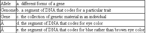 Match each of the following genetic terms with its characteristic, description, or example. Each term on the left may match more than one description on the right.  