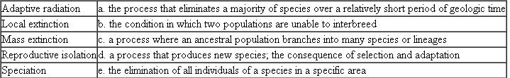 Match each of the following evolutionary processes with its characteristic, description, or example.  