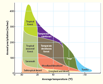 The climograph in Figure shows the relationship between average moisture and temperature on the distribution of several life zones. Given the global concern over climate change and long-term climatic shifts, explain how a temperate rainforest might change if the average precipitation levels were cut in half. Tundra life zones are found throughout much of the far north. They store a great deal of carbon in their soils, which remain frozen throughout most of the year. Examining the climograph in Figure , how would an average annual temperature increase of 5 degrees change these life zones? Figure Climograph.    