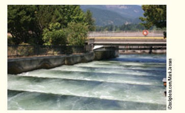 The federal government has mandated that each dam on the river be equipped with a fish ladder ( Fig. ) to assist salmon migrating upriver in getting around dams. Based on the data for the Lemhi River, have fish ladders been a successful investment since the 1960s? Figure Fish ladder next to a dam.    