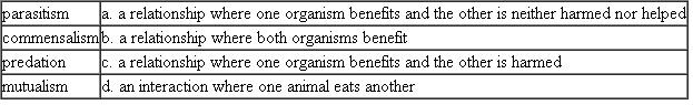Match each of the following terms about animal relationships with the best description.  