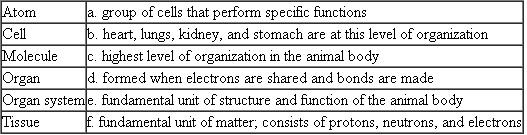 Match each of the following levels of the biological hierarchy with its characteristic, description, or example.