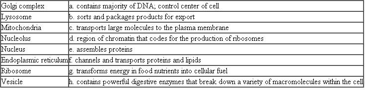 Match each of the following cell parts with its characteristic, description, or example.
