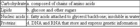 Match each of the following classes of macromolecule with its characteristic, description, or example.
