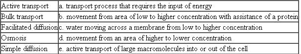 Match each of the following types of transport with its characteristic, description, or example.