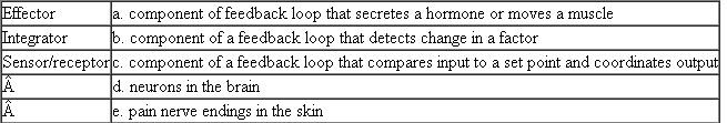 Match each of the following components of a feedback loop with its characteristic, description, or example. Each term on the left may match more than one description on the right.  