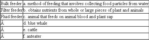 Match each of the following feeding mechanisms with its characteristic, description, or example. Each term on the left may match more than one description on the right.  
