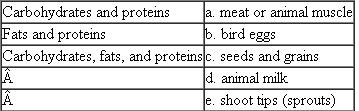 Match each of the following nutrient combinations with its food source. Each term on the left may match more than one description on the right.