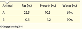 The black rhino is an endangered species and is often part of captive breeding programs ( Fig. ). Rearing rhinoceros calves requires knowledge of their nutritional requirements such as the composition of their milk, which varies greatly among mammalian species, depending on habitat. The rhinoceros, for example, lives in hot African grasslands. In contrast, reindeer live in freezing habitats near the Arctic Circle. Task: Compare the milk of these two mammals ( Table ) and predict which milk is made by the rhinoceros and which is made by the reindeer. Which milk provides the most calories? Which animal drinks a greater amount of milk daily? Explain your answer by connecting milk composition to habitat. Figure Feeding an orphaned black rhinoceros. Table Milk Composition