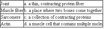 Match each of the following component of movement terms with the best description.