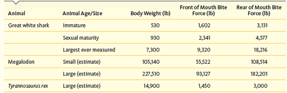 Based on the data in Table , which end of the mouth has the greatest force? Look at the photos of the shark jaw and speculate why that portion of the jaw has the greatest bite force. Table How Hard Can an Animal Bite?   