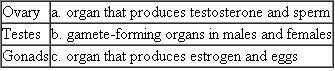 Match each of the following reproductive organs with its definition, characteristic, or example.  