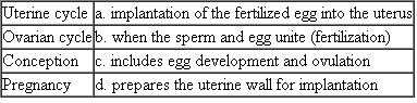 Match each of the following reproductive events with its definition, characteristic, or example.  