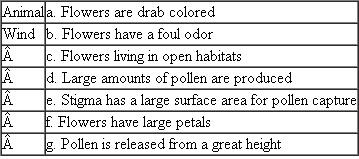 Match each of the following pollination systems with its description or example. Each term on the left may match more than one description on the right.