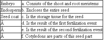 Match each of the following seed parts with its description or example. Each term on the left may match more than one description on the right.  