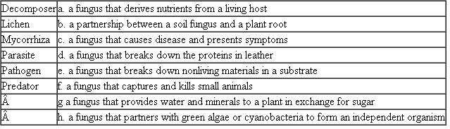 Match each of the following nutritional relationships with its description or example. Each term on the left may match more than one description on the right.