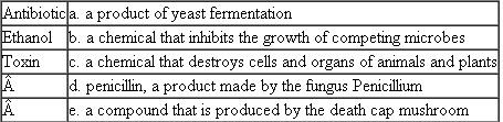 Match each of the following fungal products with its description or example. Each term on the left may match more than one description on the right.  