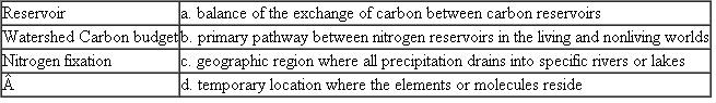 Match each of the following biogeochemical cycling terms with its description.  