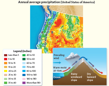 Geography can have a dramatic impact on the water cycle. Air currents blowing up against mountains cause air to rise and rapidly cool, causing moisture to fall as precipitation. As a result, one side of the mountain range receives more moisture and the other receives less rain, a condition called a rain shadow effect. Based on your understanding of plant communities from Unit 3 and the water cycle, speculate about this influence on the water cycle at the regional level. Using the map in Figure as your guide, explain which area, A or B, experiences the rain shadow effect from the Cascade mountains and how that influences the plant communities. Figure Rain shadow effect.    