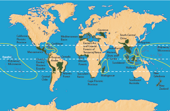 Refer to Figure. Which of the following factors is important in supporting biodiversity hotspots? A) the east-west longitude B) temperature and moisture patterns C) whether the habitat is marine or terrestrial D) the availability of top-order predators to move between locations Figure Global biodiversity hotspots. The green areas and circled island groups have been identified as key biodiversity hotspots. These hotspots hold especially high numbers of species, yet their combined area of remaining habitat covers less than 2% of Earth's land surface. This map shows the global distribution of areas of high biodiversity. These areas tend to be concentrated in warm, wet climates capable of supporting many ecological niches. A significant number of the world's species may occur in these rapidly disappearing areas.