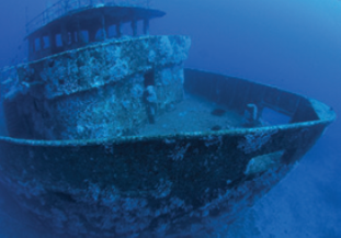 To promote the recruitment of marine life, many seaside communities are deliberately sinking ships to create man-made reefs ( Fig. ). What features does a sunken ship share with a natural reef that would attract biodiversity? Figure Sunken ships act as artificial reefs.    
