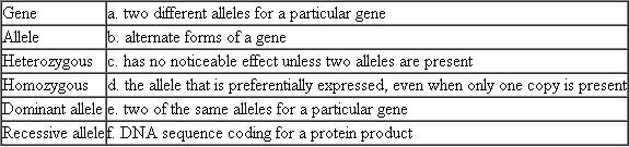 Match each of the following gene terms with its characteristic, description, or example.