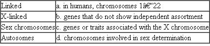 Match each of the following chromosome terms with its characteristic, description, or example.