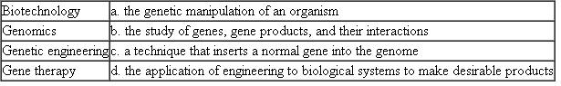 Match each of these fields of biotechnology with its description or example.