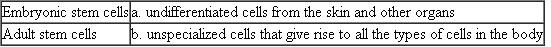 Match each of the types of stem cells with its description or example.