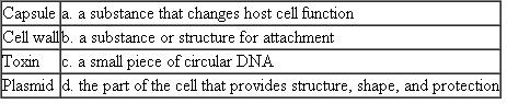 Match each of the following bacterial structures with its characteristic, description, or example.  