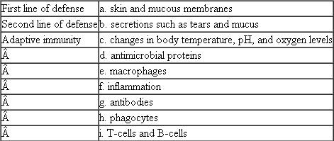 Match each of the following lines of defense with its characteristic, description, or example. Each term on the left may match more than one description on the right.  