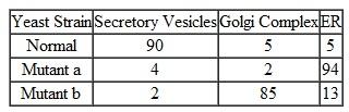 interpret data An investigator has isolated two mutant strains of yeast that fail to secrete a short polypeptide. She fractionated the cells and compared the concentrations of this polypeptide in the different cellular fractions with those found in normal cells. What point in the secretory pathway would you expect would be defective for mutant a and mutant b?  